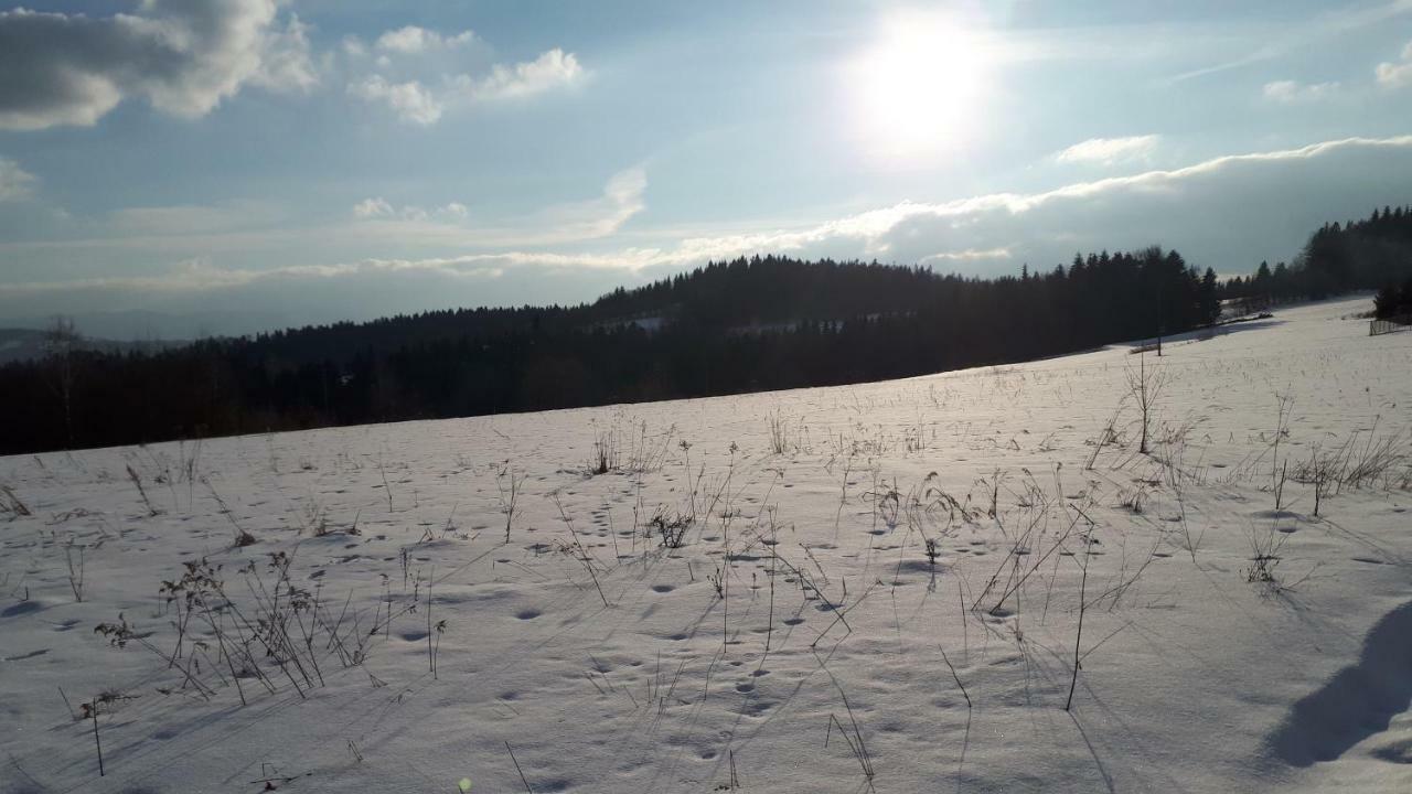 Domek W Beskidach Zachelmna エクステリア 写真